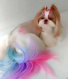 a small dog with long, colorful hair on it's head sitting next to a stuffed animal