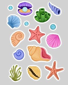 an assortment of sea shells and starfish stickers