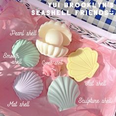 there are different types of seashells on the pink tablecloth with text that says, you brooklyn's seashell friends