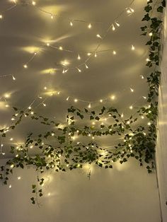 a room with vines and lights hanging from the ceiling, all lit up at night