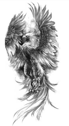 a black and white drawing of an eagle with wings spread out, on a white background