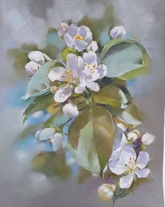 an oil painting of white flowers and green leaves on a gray background with blue sky in the background