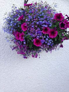 a hanging basket filled with purple flowers on the side of a white wall, next to a planter