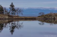 a body of water with trees on the shore and mountains in the backgroud