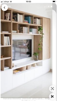 an entertainment center with bookshelves and plants on the shelves in front of it