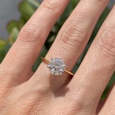 a woman's hand with a diamond ring on top of her finger, next to a succulent plant