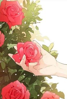 two hands holding red roses with green leaves