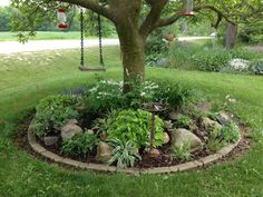 a tree that is in the middle of a yard with rocks and plants around it