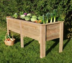 a wooden planter filled with vegetables on top of green grass next to a bush