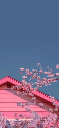 a pink house and tree with white flowers