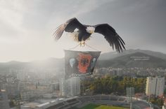 an eagle flying over a soccer field with the city in the backgrouund