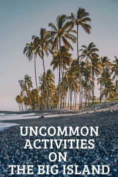 the words uncommon activities on the big island with palm trees and blue water in the background