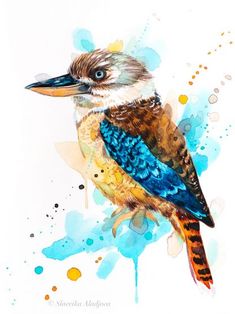 a colorful bird sitting on top of a blue and yellow paint splattered background