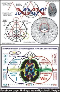 Símbolos Ocultos Les Chakras, Quantum Physics, Book Of Shadows, Science And Nature