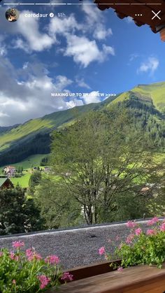 a bench sitting on top of a lush green hillside next to a forest filled with pink flowers