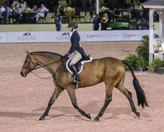 a person riding on the back of a brown horse in an arena with people watching