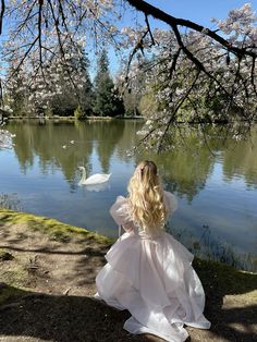 a woman in a white dress is looking at the water and swans are floating on it