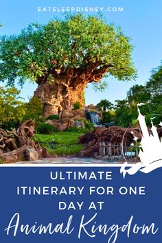 the tree of life at disney's animal kingdom with text overlay reading ultimate itinerary for one day at animal kingdom