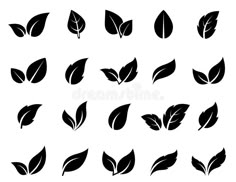 black and white leaf silhouettes on a white background stock photo, images and royalty