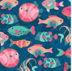 a bunch of colorful fish on a blue background