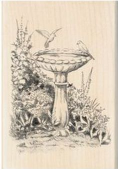 a drawing of a birdbath in the middle of some flowers and plants with birds flying over it