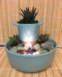 a potted plant sitting on top of a blue bowl filled with rocks and succulents