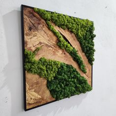 a piece of wood with moss growing on it is mounted to the side of a wall