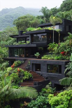 a house that is surrounded by trees and plants on the hillside with stairs leading up to it