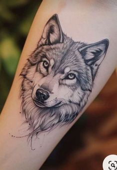 a wolf tattoo on the arm