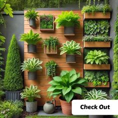 an outdoor garden with various plants and potted plants on the wall, along with text overlay that reads check out