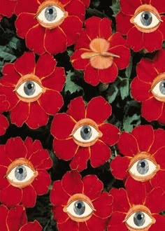 red flowers with green eyes in the middle