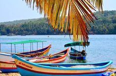 several boats are parked on the beach under a palm tree near the water's edge