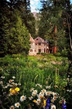 an old house surrounded by wildflowers and trees