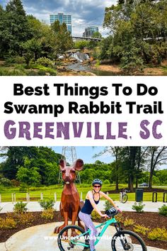 Downtown Greenville, SC and biker on Swamp Rabbit Trail Swamp Rabbit Trail South Carolina, Swamp Rabbit Trail, Swamp Rabbit, Swamp Tours, Bucket List Travel Destinations, Vacation 2023, Trail Bike