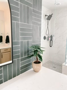 a potted plant sitting on top of a counter next to a shower head and mirror