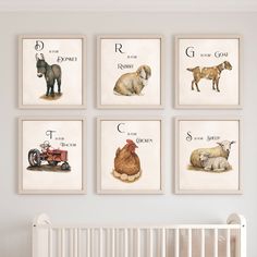 four framed pictures of farm animals on the wall in a baby's nursery room