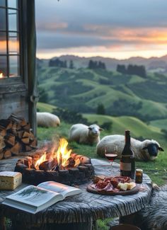 a table with food and wine on it in the middle of a grassy field near sheep