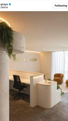 an office with white walls and plants growing on the wall