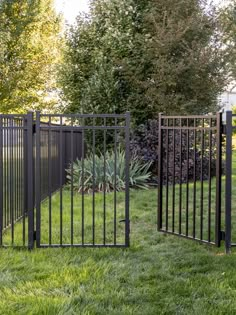 an iron fence and gate in the grass