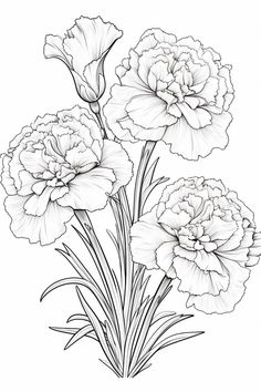 three large flowers are shown in this black and white drawing, with long stems on each side