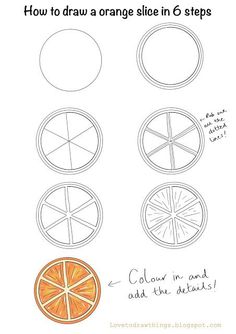 how to draw an orange slice in 6 steps step by step drawing instructions for beginners