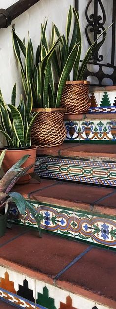 some potted plants are sitting on the steps