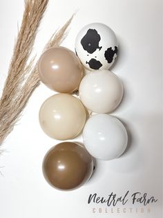 an assortment of different colored balloons on a white surface with some dry grass in the background