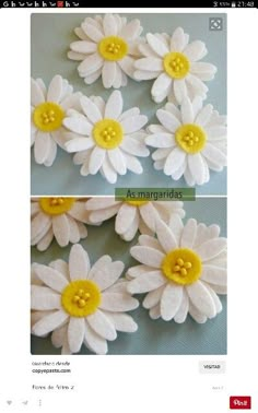 two pictures of white flowers with yellow centers