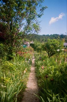 a dirt path surrounded by trees and flowers