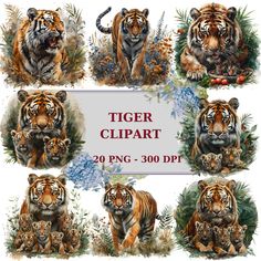 tiger clipart for commercial use in adobe and photoshopped with watercolors