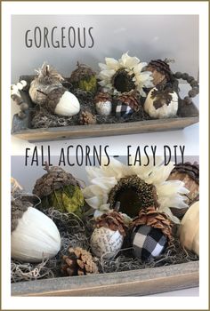 two wooden shelves filled with different types of fall acorns and pineconis