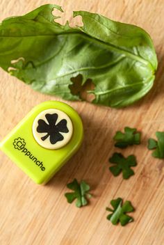 a green object with a shamrock on it sitting next to some leafy greens and leaves