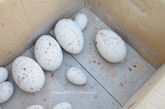 several white eggs in a cardboard box with dirt on the floor and one is empty