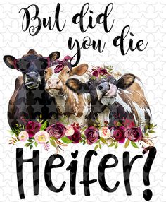 three cows with flowers and the words hangin'with my heifers